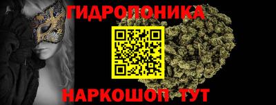 шишки Бузулук