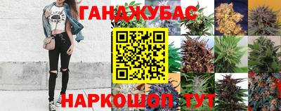 шишки Бузулук