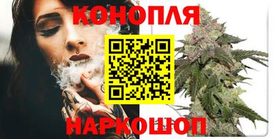 шишки Бузулук