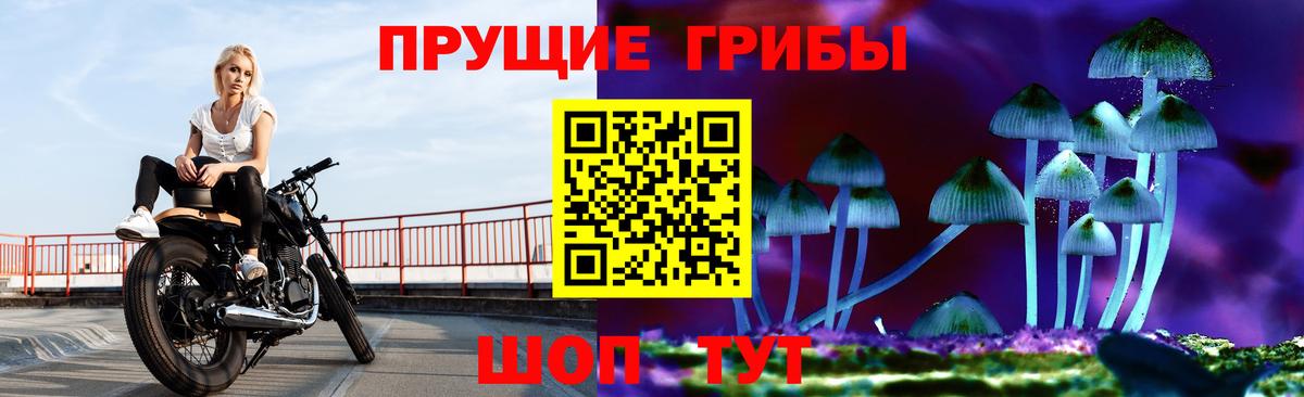 Галлюциногенные грибы Cubensis  Вход с VPN  Первоуральск 